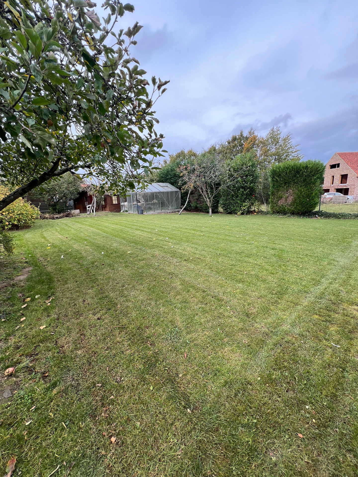 12 Project AF   Merchtem